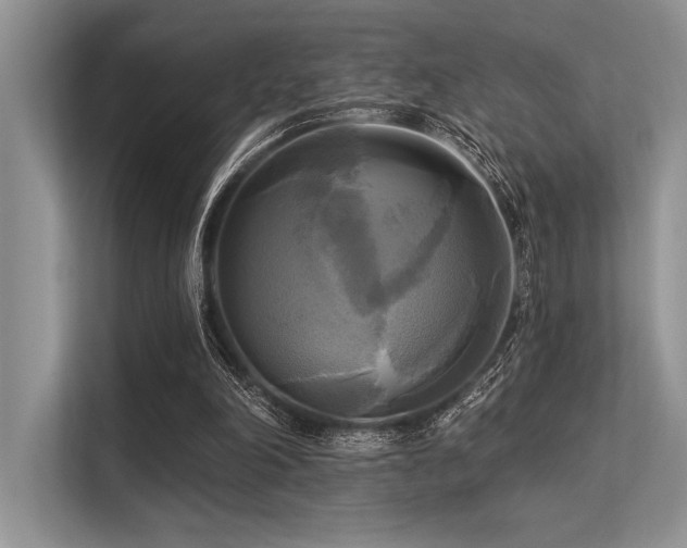 X0000113300198200909211128