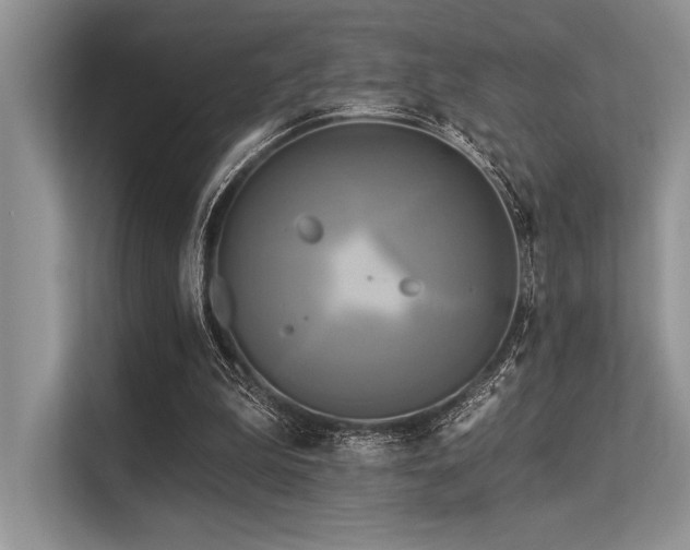 X0000113300199200909211128