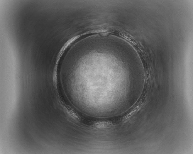 X0000113300200200909211128