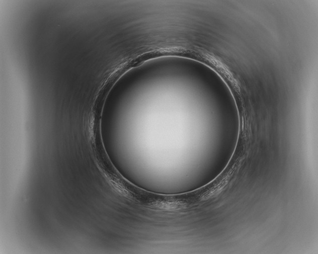 X0000113300201200909211128