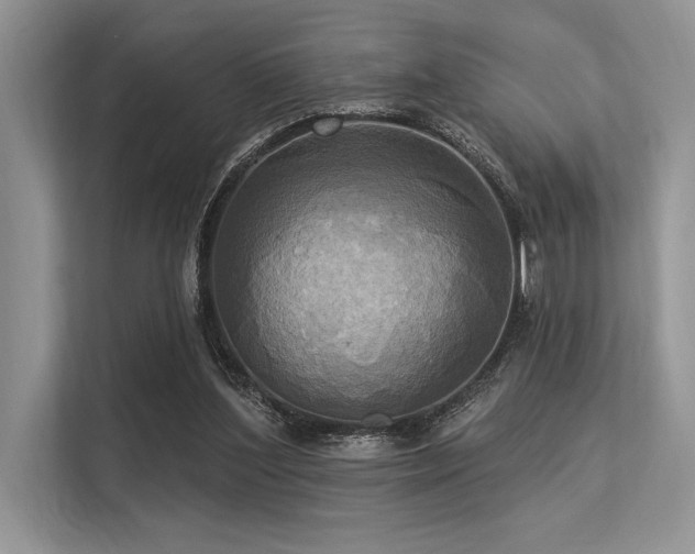 X0000113300204200909211128