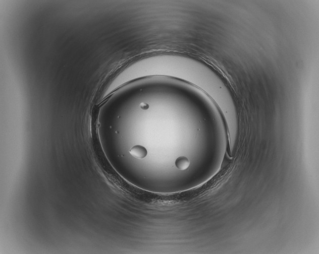 X0000113300205200909211128