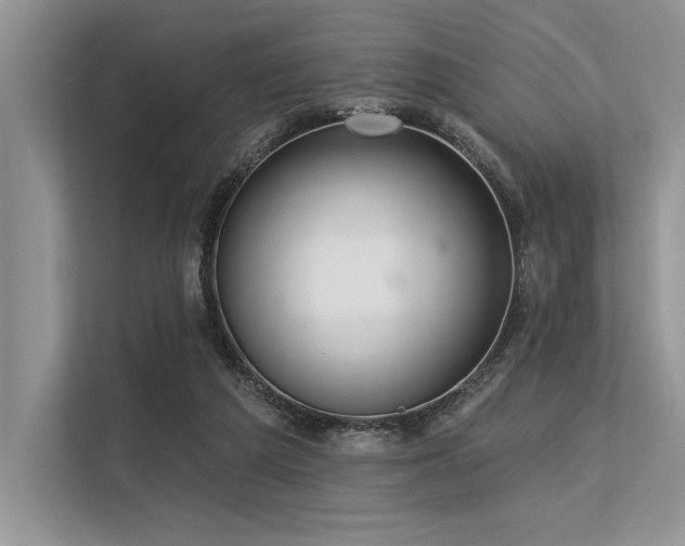 X0000113300209200909211128