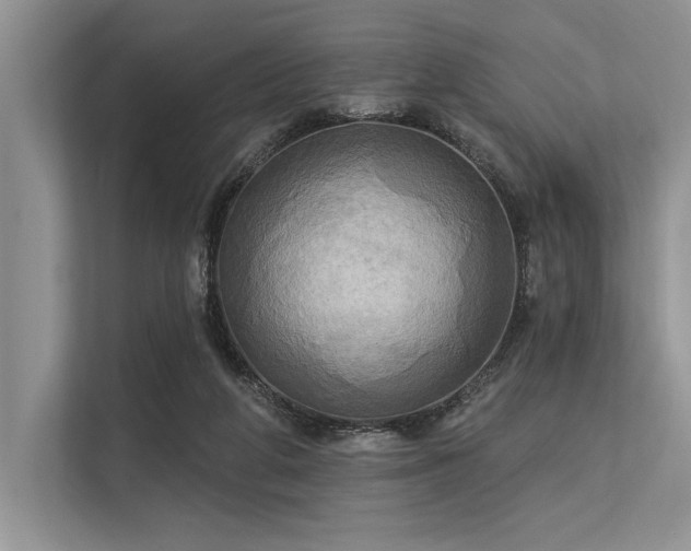 X0000113300210200909211128