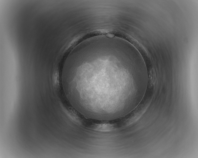 X0000113300212200909211128