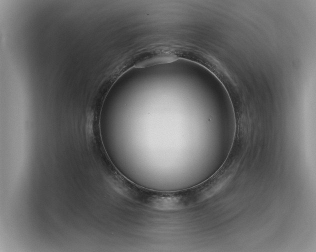 X0000113300217200909211128