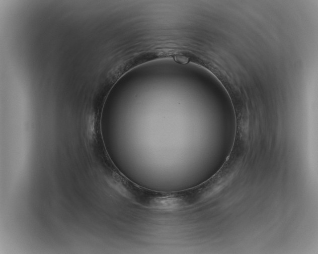 X0000113300219200909211128