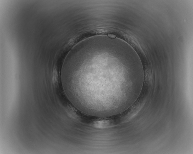 X0000113300220200909211128