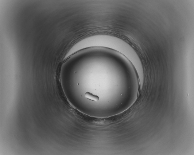 X0000113300221200909211128