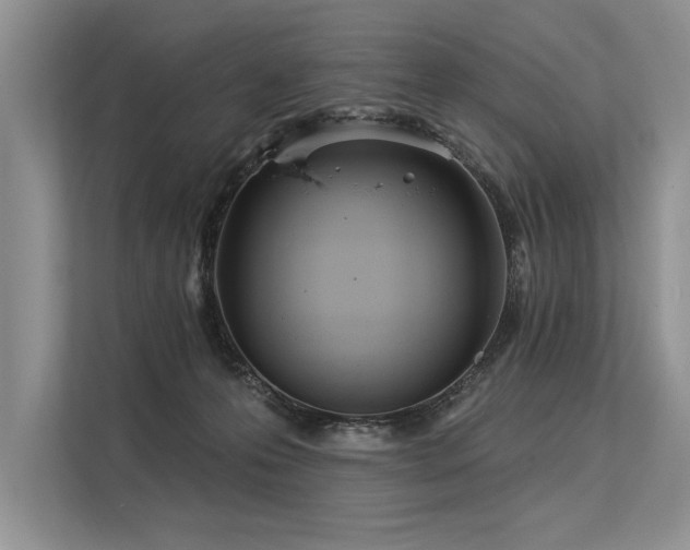 X0000113300223200909211128