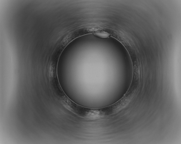 X0000113300227200909211128