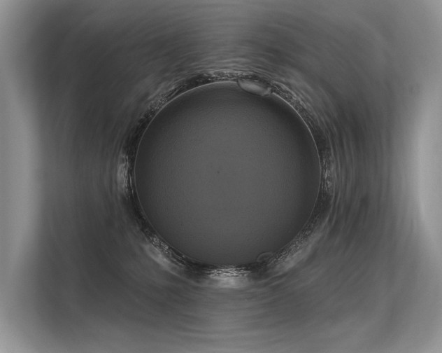 X0000113300231200909211128