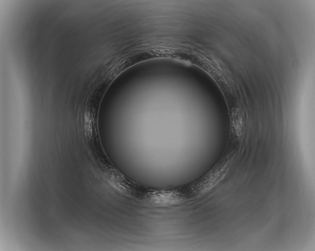 X0000113300235200909211128