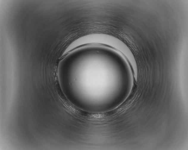 X0000113300237200909211128