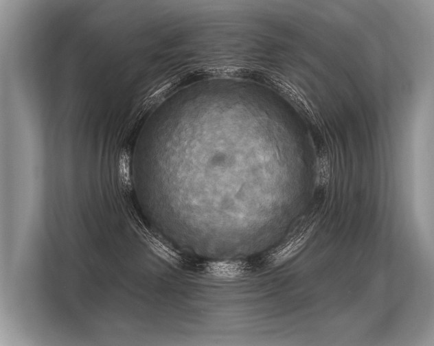 X0000113300238200909211128