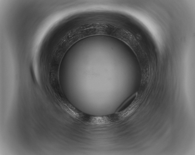 X0000113300239200909211128