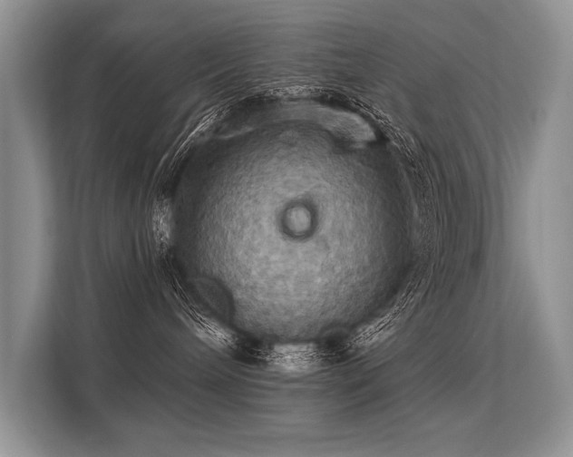 X0000113300240200909211128