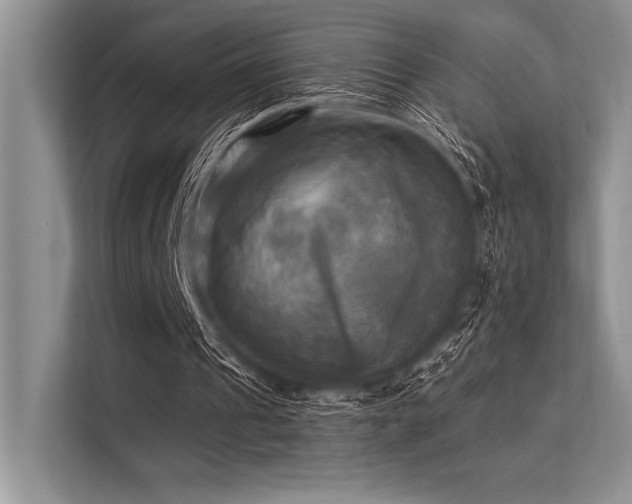 X0000113300241200909211127