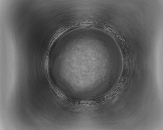 X0000113300242200909211127