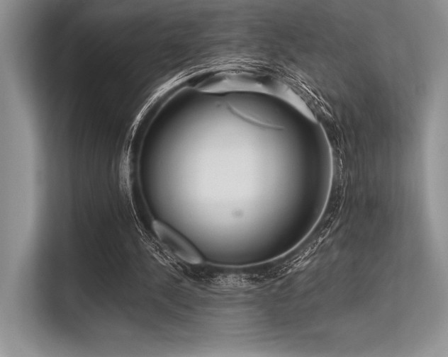 X0000113300244200909211127