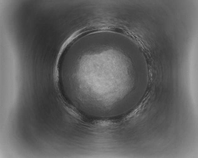 X0000113300246200909211127