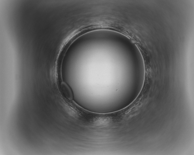 X0000113300248200909211127