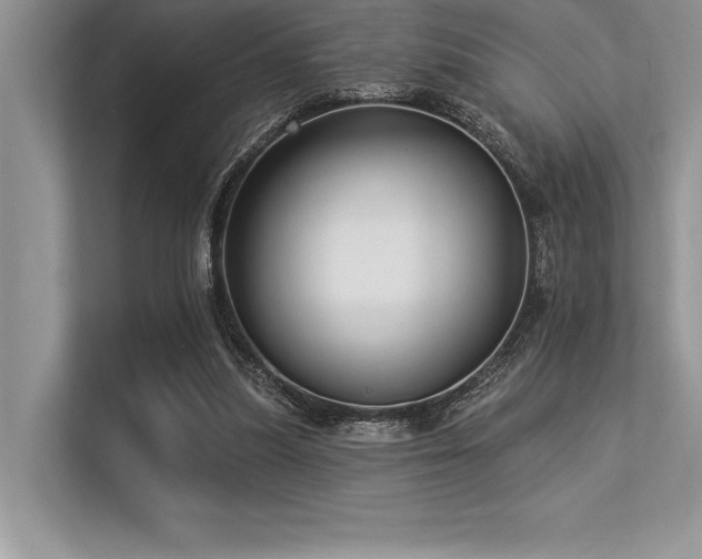 X0000113300251200909211127