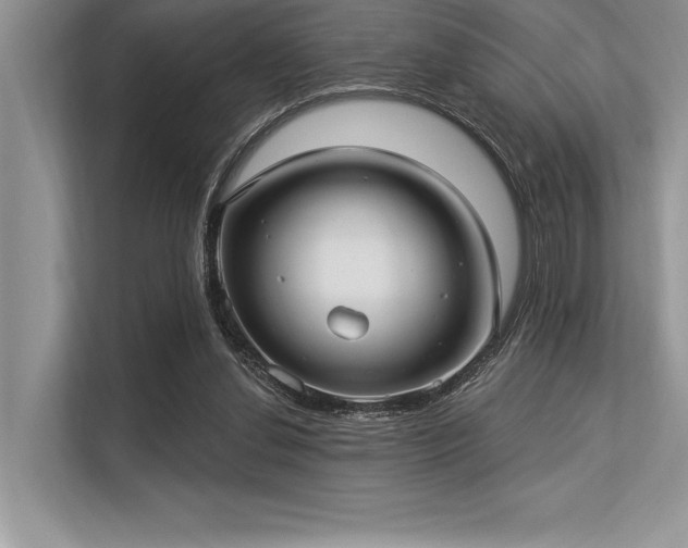 X0000113300252200909211127