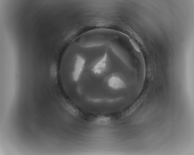 X0000113300257200909211127