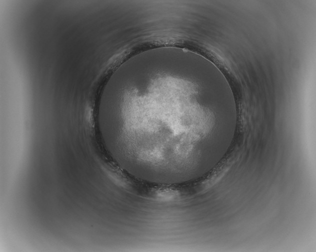 X0000113300258200909211127