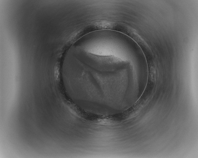 X0000113300259200909211127