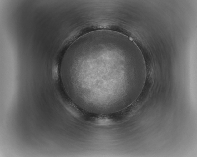 X0000113300262200909211127