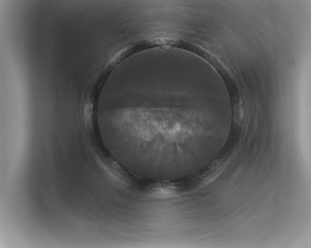 X0000113300263200909211127