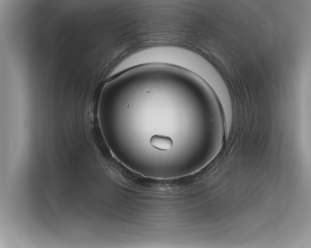 X0000113300264200909211127