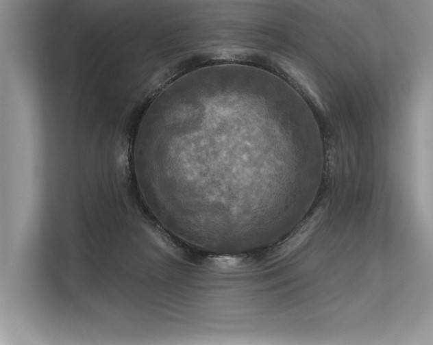 X0000113300265200909211127