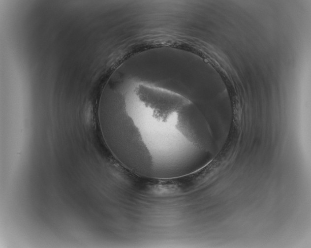 X0000113300270200909211127