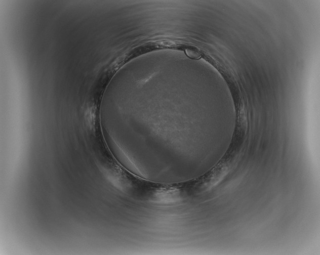 X0000113300271200909211127