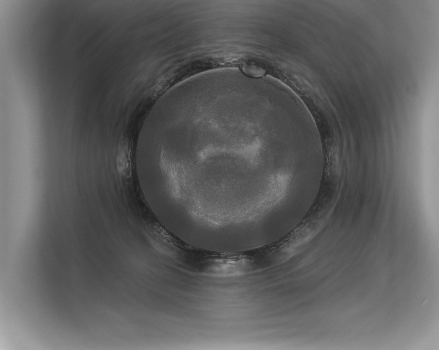 X0000113300274200909211127