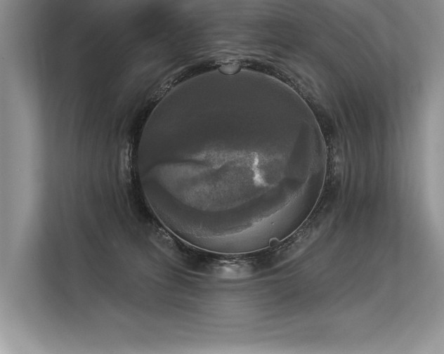 X0000113300275200909211127