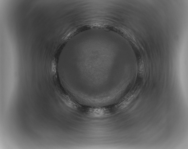 X0000113300282200909211127