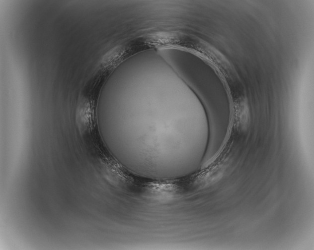 X0000113300284200909211127