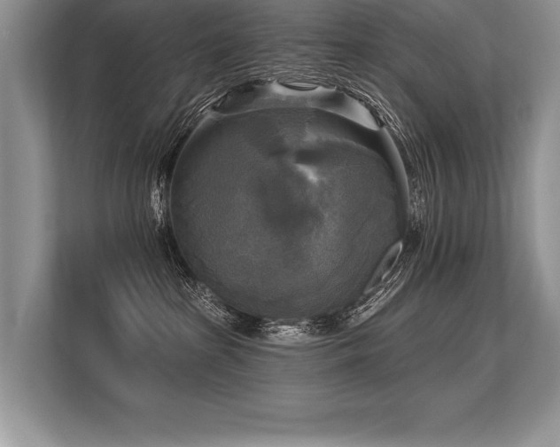 X0000113300285200909211127