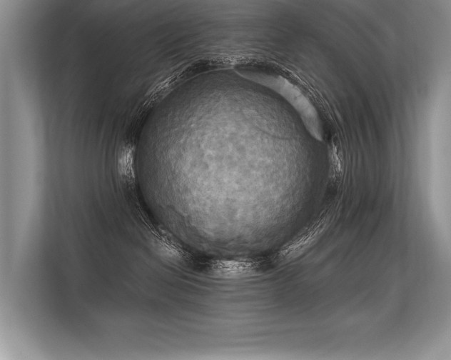 X0000113300286200909211128