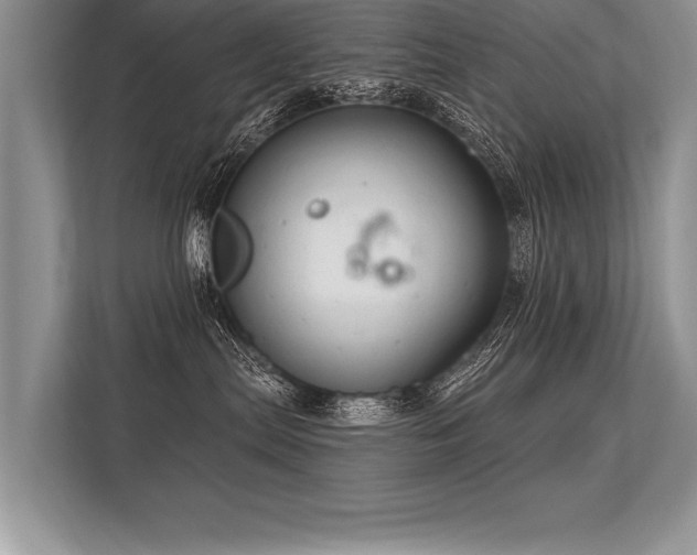 X0000113300287200909211128