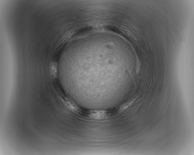 X0000113300288200909211128