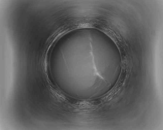 X0000113300290200909211127