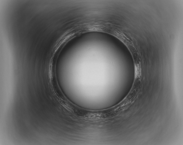 X0000113300291200909211127