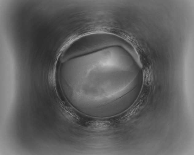 X0000113300292200909211127