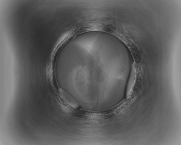 X0000113300293200909211127