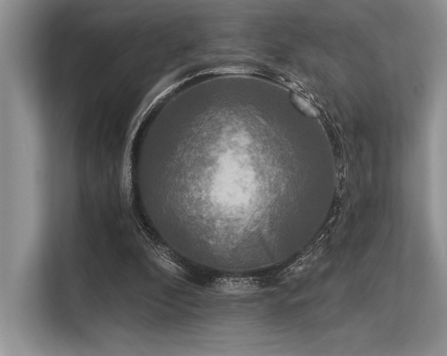 X0000113300296200909211127